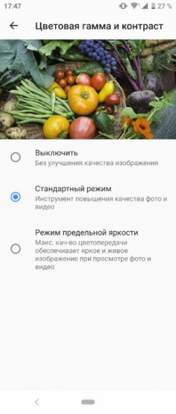 Обзор Sony Xperia 10 - самобытный среднебюджетник с экраном 21:9