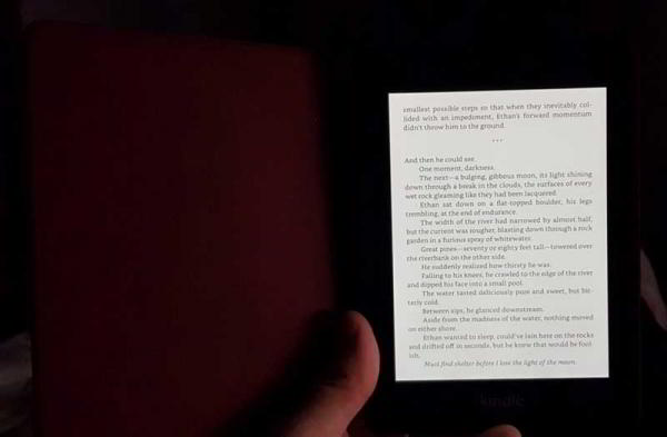 Обзор Amazon Kindle Paperwhite 2018: новый стандарт классической читалки