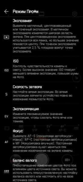 Обзор Huawei P30 Pro - лучшая мобильная камера? Обзор Huawei P30 Pro - лучшая мобильная камера?