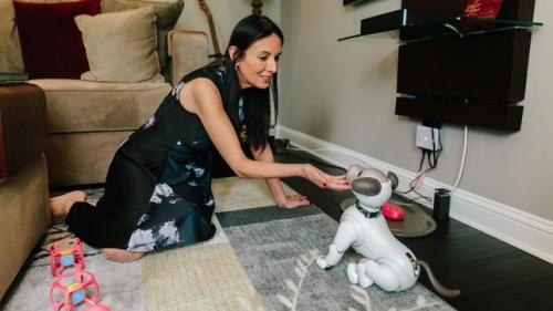 Yes, the robot dog ate your privacy