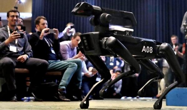 Boston Dynamics предложила превратить Spot Mini в роботов-гладиаторов