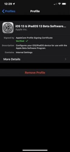 How to get Apple's iOS 13, iPadOS or macOS 'Catalina' betas