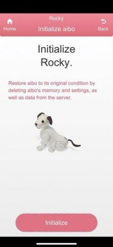 Yes, the robot dog ate your privacy