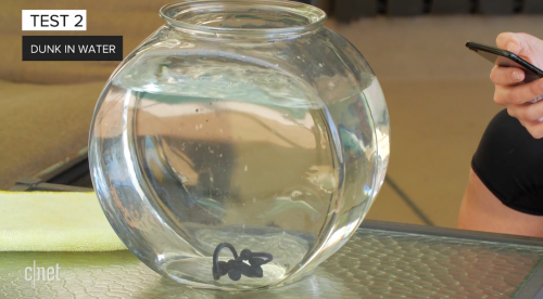 AirPods, Powerbeats Pro and Galaxy Buds water test: Which ones survived?