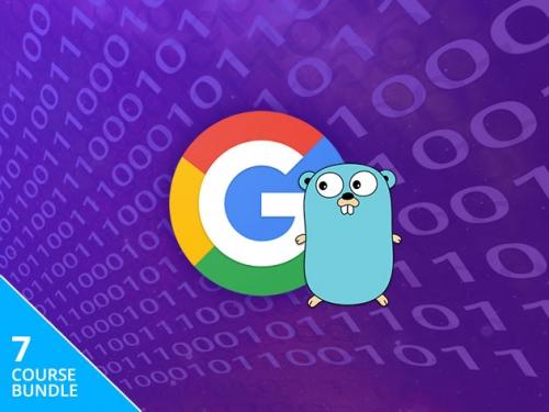 Learn how to code with Google Go for just $29