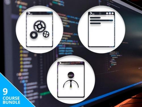 Узнайте, как использовать PowerShell для в системе с Windows всего за $20