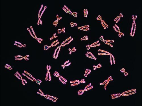 How sharing your DNA solves horrible crimes... and stirs a privacy debate