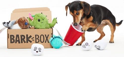 The Subscription Model: The Shining Star of E-Commerce