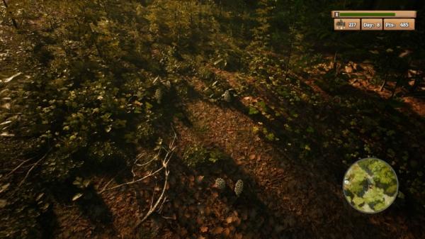 Вегетарианцы на охоте: анонсирована Morels: The Hunt