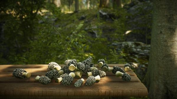 Вегетарианцы на охоте: анонсирована Morels: The Hunt
