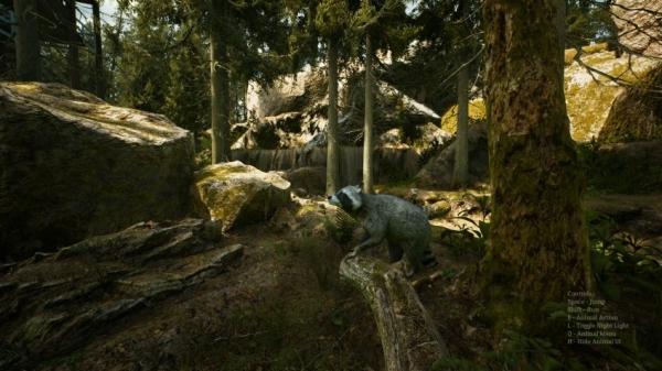 Вегетарианцы на охоте: анонсирована Morels: The Hunt