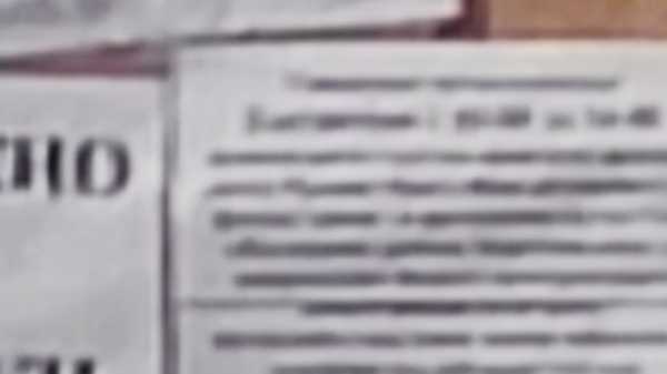 Какой смартфон снимает лучше: сравниваем Samsung Galaxy S20 Ultra с Huawei P30 Pro и Mi Note 10