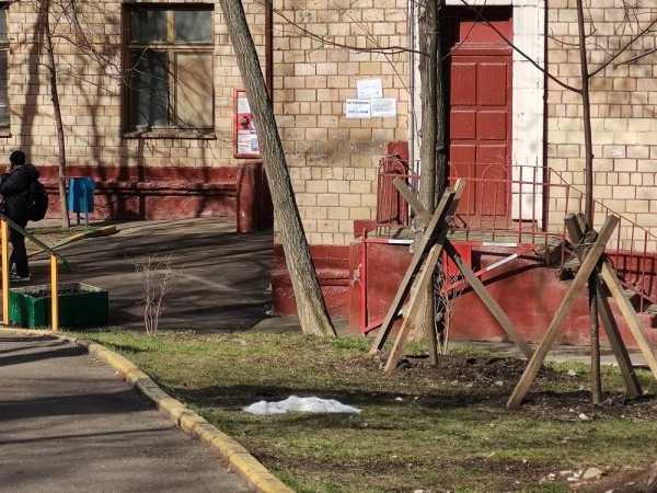 Какой смартфон снимает лучше: сравниваем Samsung Galaxy S20 Ultra с Huawei P30 Pro и Mi Note 10