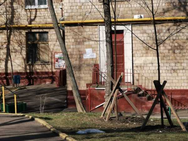 Какой смартфон снимает лучше: сравниваем Samsung Galaxy S20 Ultra с Huawei P30 Pro и Mi Note 10