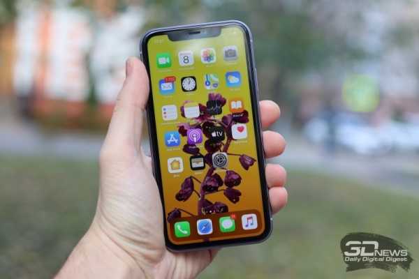 Обзор iPhone 11: Apple против жабы