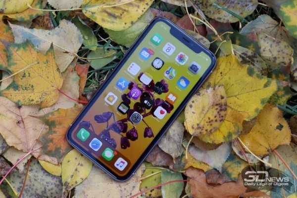 Обзор iPhone 11: Apple против жабы