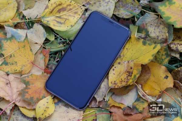 Обзор iPhone 11: Apple против жабы